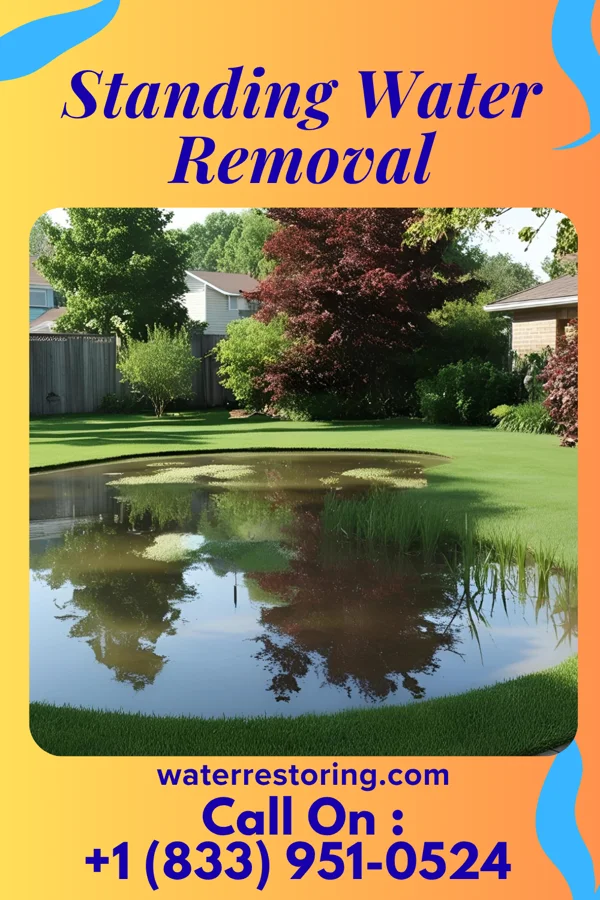 Standing Water Removal in Newellton, LA